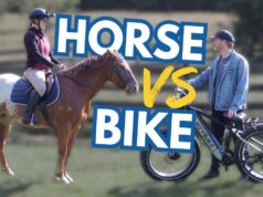 Riding a Horse vs. Riding a Bicycle: The Surprising Differences